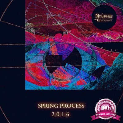 Spring Process 2016 (2016)