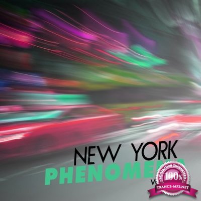 New York Phenomena, Vol. 2 (2016)