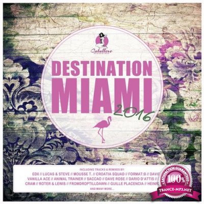 Destination: Miami 2016 (2016)