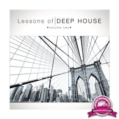 Lessons of Deephouse, Vol. 2 (2016)