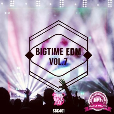 Bigtime EDM, Vol. 7 (2016)