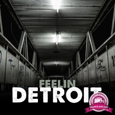 Feelin Detroit, Vol. 1 (2016)