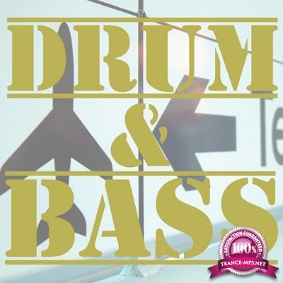 Drum & Bass Hits, Vol.2 (2016)