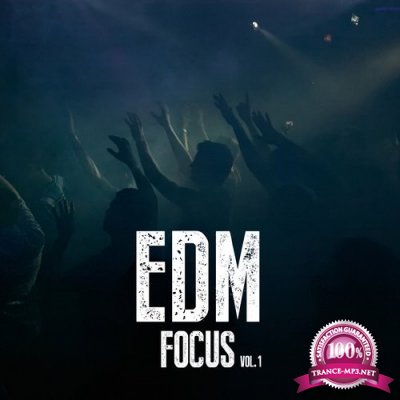 EDM Focus, Vol. 1 (2016)