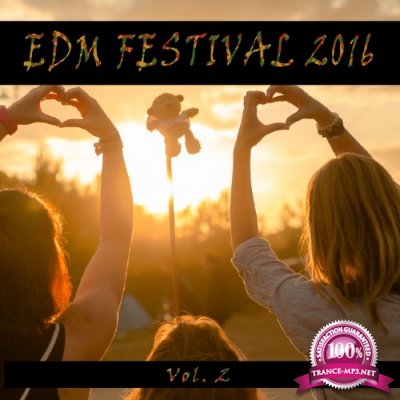 EDM Festival 2016, Vol. 2 (2016)