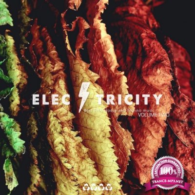 Electricity, Vol. 2 (2016)