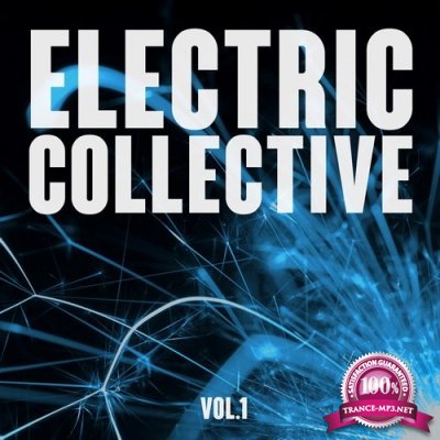 Electric Collective, Vol. 1 (2016)