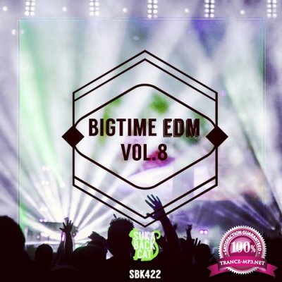Bigtime EDM, Vol. 8 (2016)
