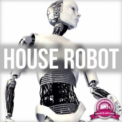 House Robot (2016)