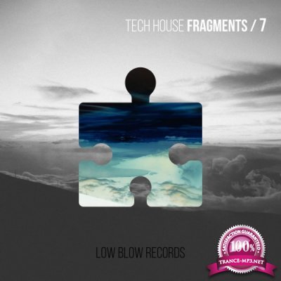 Tech House Fragments 7 (2016)