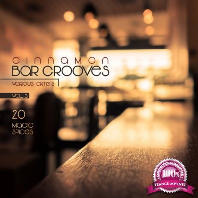 Cinnamon Bar Grooves Vol. 3 (20 Magic Spices) (2016)