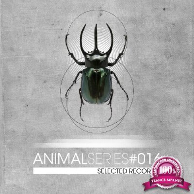 Various Artists - Animal Series 016 (2016)