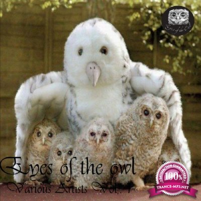 Eyes Of The Owl Vol. 1 (2016)