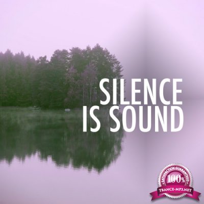 Silence Is Sound, Vol. 2 (2016)