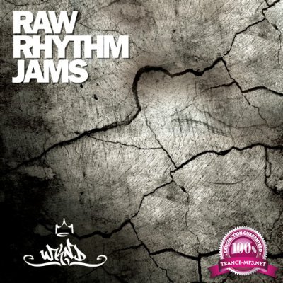 Raw Rhythm Jams, Vol. 1 (2016)