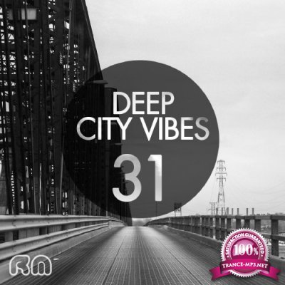 Deep City Vibes, Vol. 31 (2016)