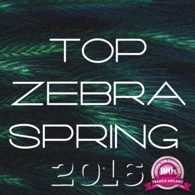 Top Zebra Spring 2016 (2016)