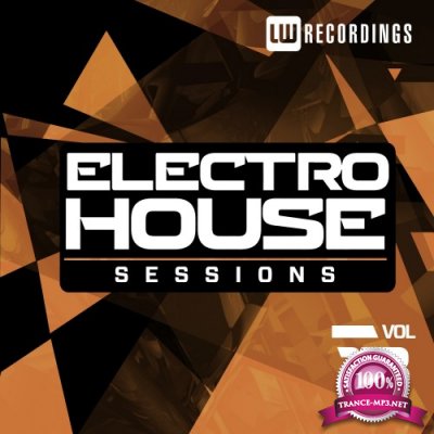Electro House Sessions, Vol. 13 (2016)
