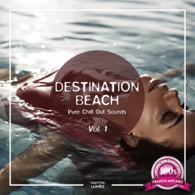 Destination Beach (Pure Chill Out Sounds), Vol. 1 (2016)