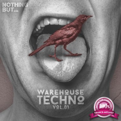 Nothing But... Warehouse Techno Vol 1 (2016)