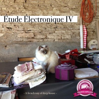 Etude Electronique IV (A French Way Of Deep House) (2016)
