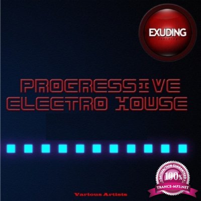 Progressive Electro House Vol 3 (2016)
