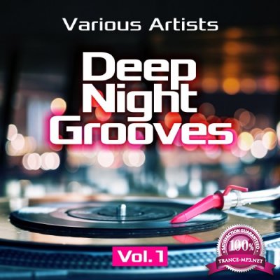 Deep Night Grooves, Vol. 1 (2016)