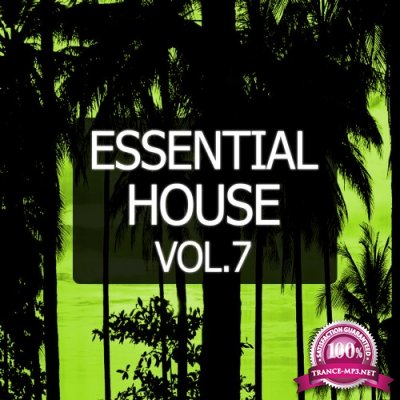 Essential House, Vol. 7 (2016)