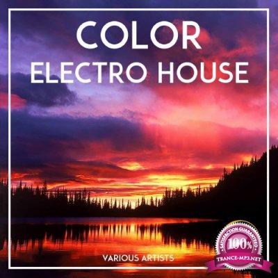 Color Electro House (2016)