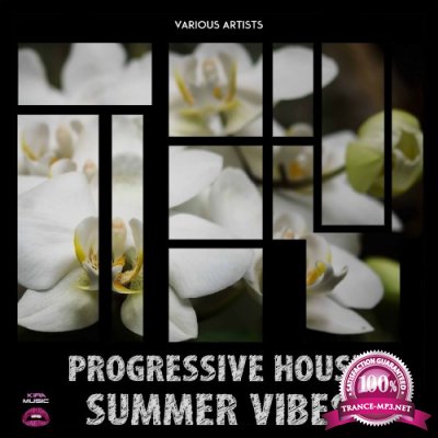 Progressive House Summer Vibes (2016)