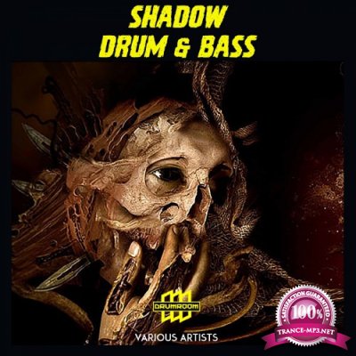 Shadow Drum & Bass (2016)