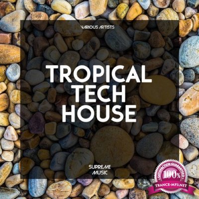 Tropical Tech House (2016)