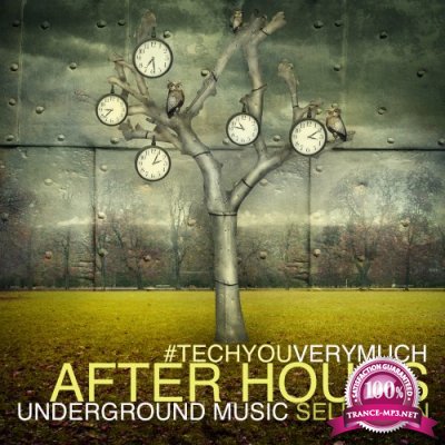 TechYouVeryMuch After Hours (Underground Music Selection) (2016)