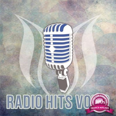 Radio Hits Vol. 2 (2016)