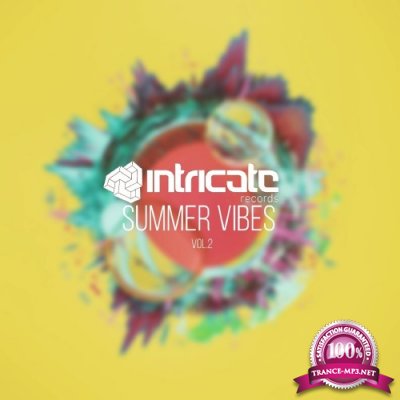 Intricate Records Summer Vibes, Vol. 2 (2016)
