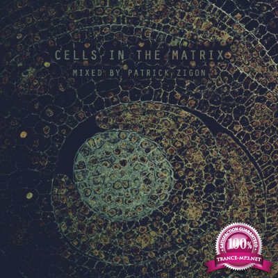 Cells In The Matrix (Mixed By Patrick Zigon) (2016)