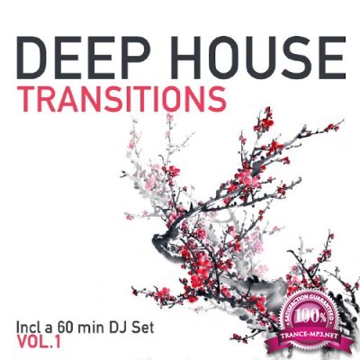 Deep House Transitions, Vol. 1 (2016)