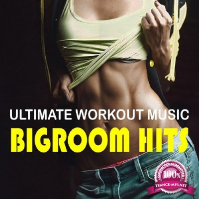 Ultimate Workout Music: Bigroom Hits (2016)