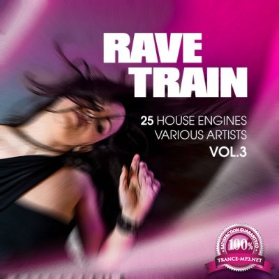 Rave Train, Vol. 3 (25 House Engines) (2016)