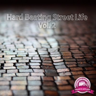 Hard Beating Street Life, Vol. 2 (2016)