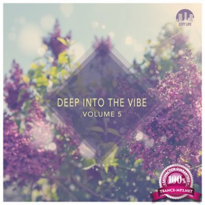 Deep Into the Vibe, Vol. 5 (2016)