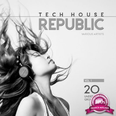Tech House Republic (20 Underground Grooves), Vol. 1 (2016)
