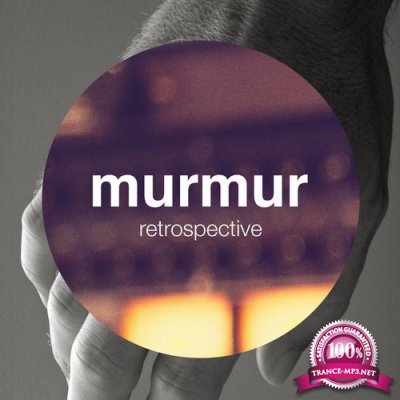 Murmur Retrospective (2016)