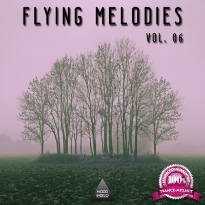 Fyling Melodies Vol 06 (2016)
