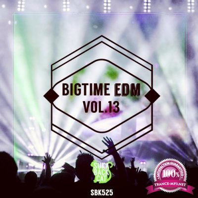 Bigtime EDM, Vol. 13 (2016)