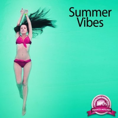 Summer Vibes, Vol. 01 (2016)