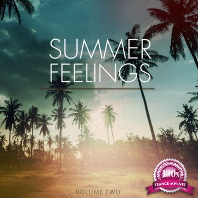Summer Feelings, Vol. 2 (Tracks Of A Endless Summer) (2016)