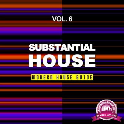 Substantial House, Vol. 6 (Modern House Guide) (2016)
