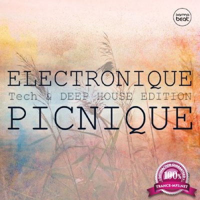 Electronique Picnique, Vol. 2 (Teck And Deep House Edition) (2016)