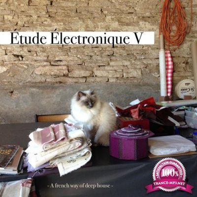 Etude Electronique V - A French Way of Deep House (2016)